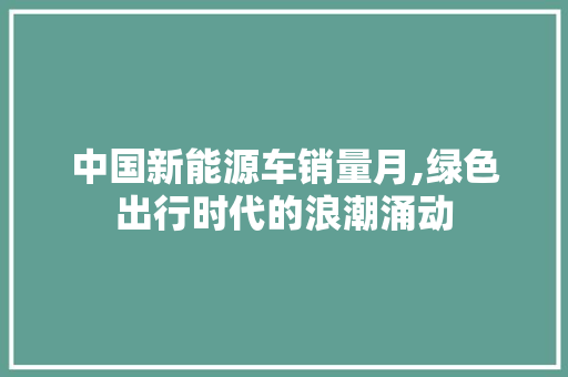 中国新能源车销量月,绿色出行时代的浪潮涌动