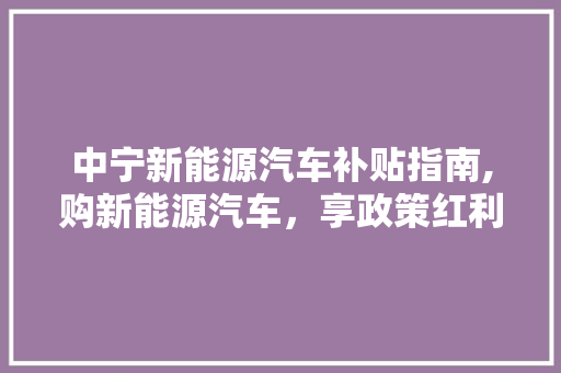 中宁新能源汽车补贴指南,购新能源汽车，享政策红利