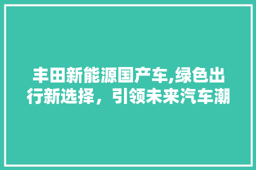 丰田新能源国产车,绿色出行新选择，引领未来汽车潮流