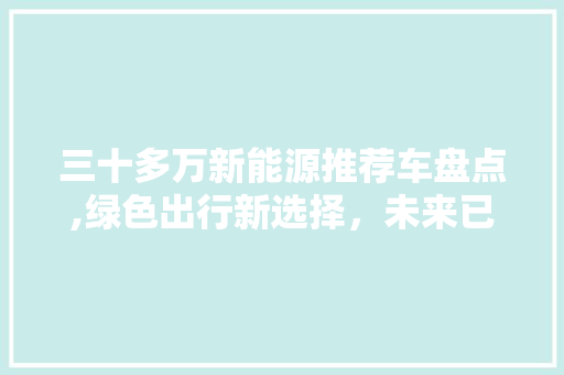 三十多万新能源推荐车盘点,绿色出行新选择，未来已来