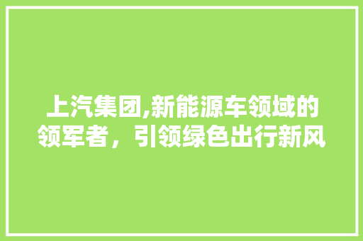 上汽集团,新能源车领域的领军者，引领绿色出行新风尚