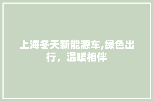 上海冬天新能源车,绿色出行，温暖相伴