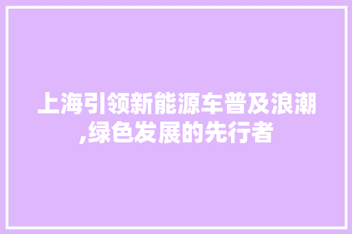上海引领新能源车普及浪潮,绿色发展的先行者