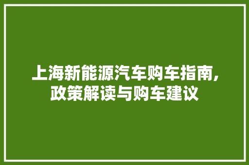 上海新能源汽车购车指南,政策解读与购车建议