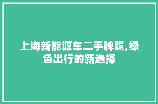 上海新能源车二手牌照,绿色出行的新选择