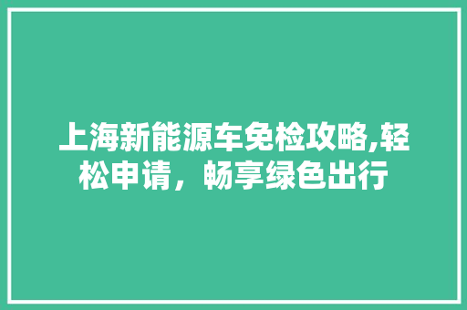 上海新能源车免检攻略,轻松申请，畅享绿色出行
