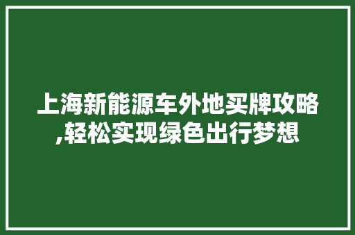 上海新能源车外地买牌攻略,轻松实现绿色出行梦想