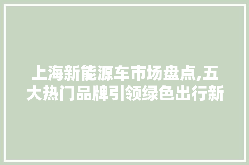 上海新能源车市场盘点,五大热门品牌引领绿色出行新风尚