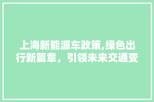 上海新能源车政策,绿色出行新篇章，引领未来交通变革