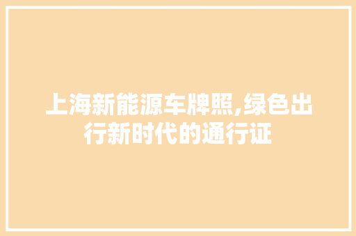上海新能源车牌照,绿色出行新时代的通行证