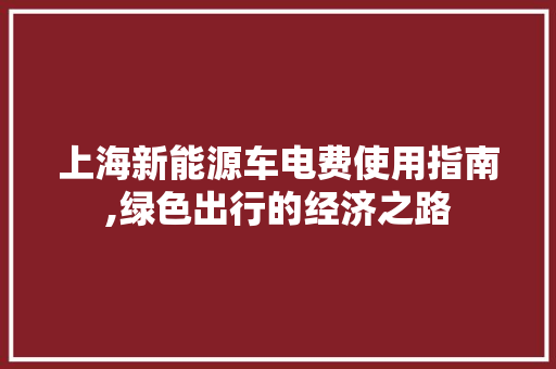 上海新能源车电费使用指南,绿色出行的经济之路