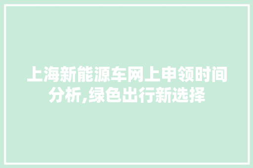 上海新能源车网上申领时间分析,绿色出行新选择