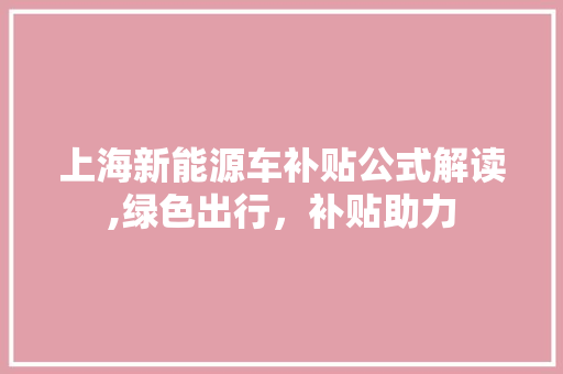 上海新能源车补贴公式解读,绿色出行，补贴助力