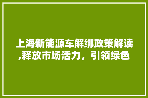 上海新能源车解绑政策解读,释放市场活力，引领绿色出行新潮流