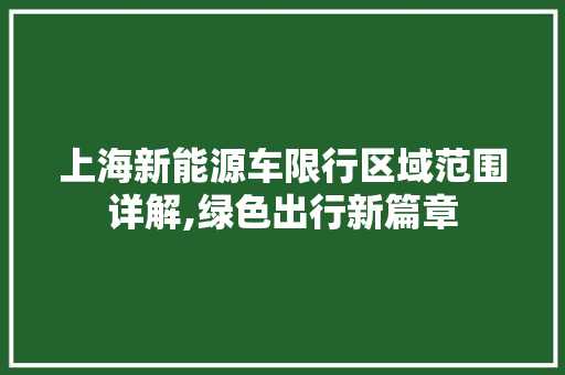 上海新能源车限行区域范围详解,绿色出行新篇章