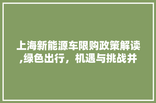 上海新能源车限购政策解读,绿色出行，机遇与挑战并存