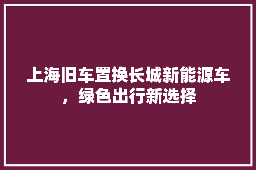 上海旧车置换长城新能源车，绿色出行新选择