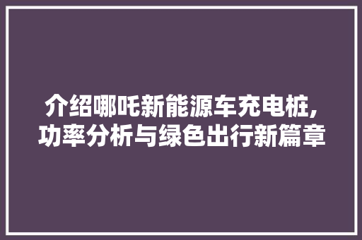 介绍哪吒新能源车充电桩,功率分析与绿色出行新篇章