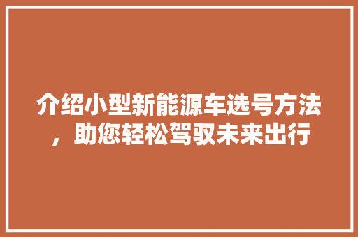 介绍小型新能源车选号方法，助您轻松驾驭未来出行