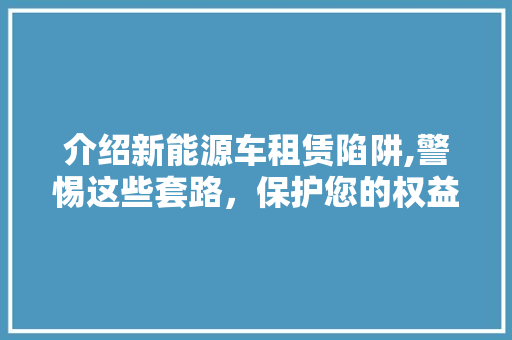 介绍新能源车租赁陷阱,警惕这些套路，保护您的权益
