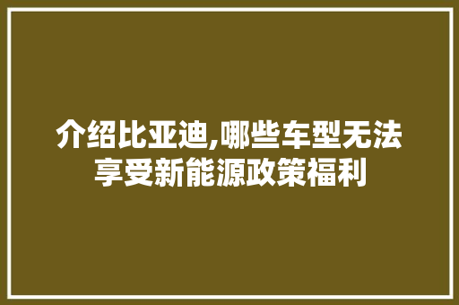 介绍比亚迪,哪些车型无法享受新能源政策福利