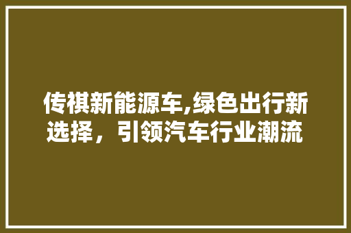 传祺新能源车,绿色出行新选择，引领汽车行业潮流