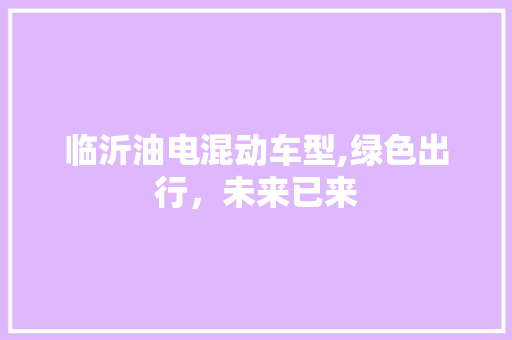 临沂油电混动车型,绿色出行，未来已来