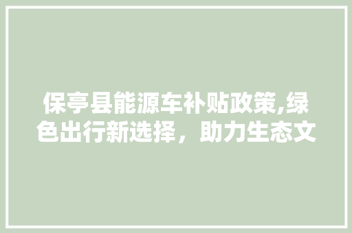 保亭县能源车补贴政策,绿色出行新选择，助力生态文明建设