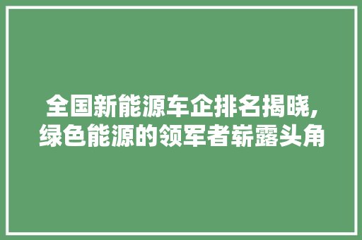 全国新能源车企排名揭晓,绿色能源的领军者崭露头角