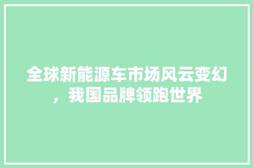 全球新能源车市场风云变幻，我国品牌领跑世界
