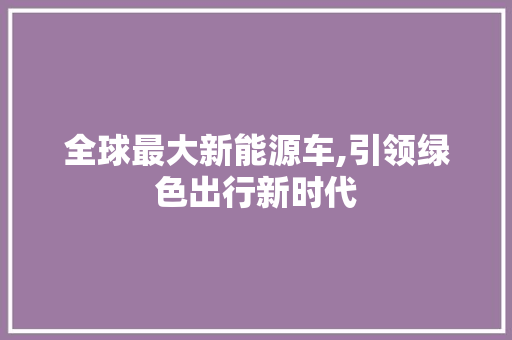全球最大新能源车,引领绿色出行新时代