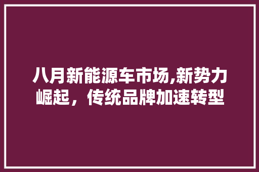 八月新能源车市场,新势力崛起，传统品牌加速转型