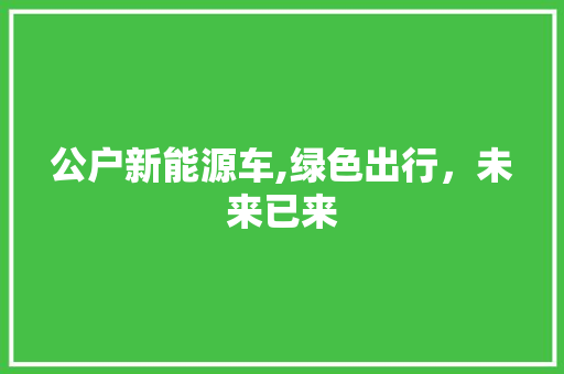 公户新能源车,绿色出行，未来已来
