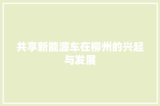 共享新能源车在柳州的兴起与发展