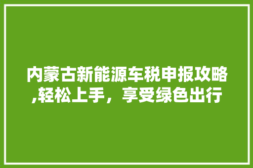 内蒙古新能源车税申报攻略,轻松上手，享受绿色出行优惠