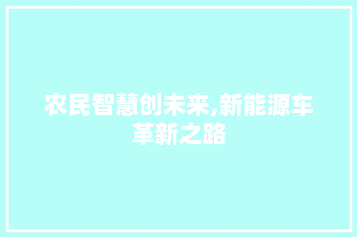 农民智慧创未来,新能源车革新之路