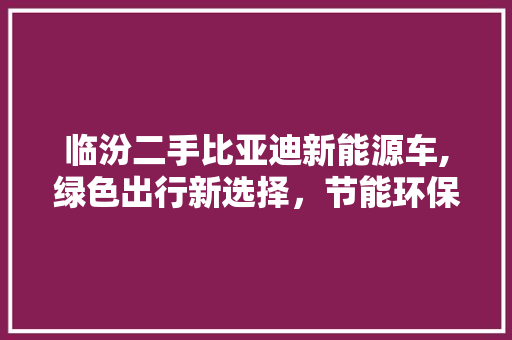临汾二手比亚迪新能源车,绿色出行新选择，节能环保两不误