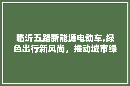 临沂五路新能源电动车,绿色出行新风尚，推动城市绿色发展