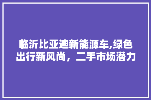 临沂比亚迪新能源车,绿色出行新风尚，二手市场潜力无限