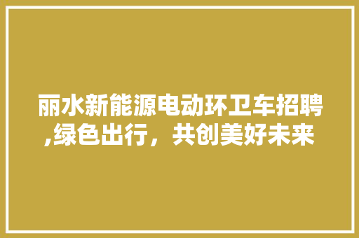 丽水新能源电动环卫车招聘,绿色出行，共创美好未来