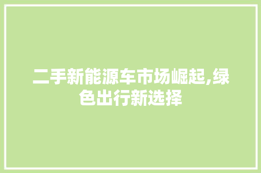 二手新能源车市场崛起,绿色出行新选择