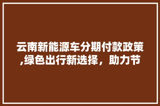 云南新能源车分期付款政策,绿色出行新选择，助力节能减排