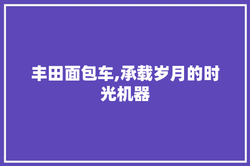 丰田面包车,承载岁月的时光机器