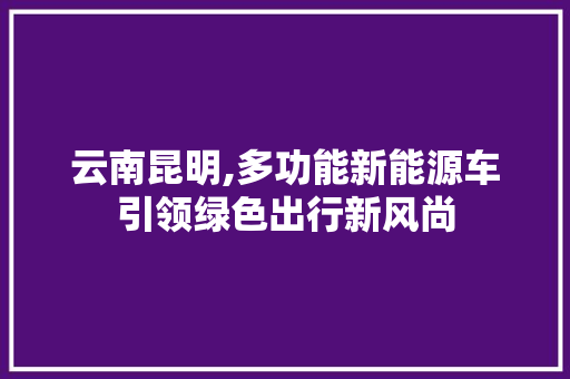 云南昆明,多功能新能源车引领绿色出行新风尚