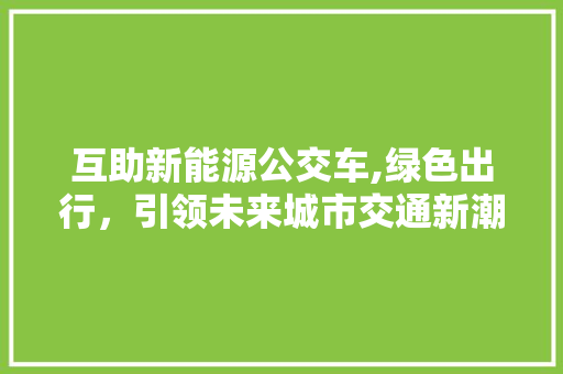 互助新能源公交车,绿色出行，引领未来城市交通新潮流