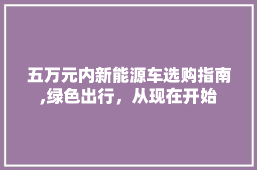 五万元内新能源车选购指南,绿色出行，从现在开始