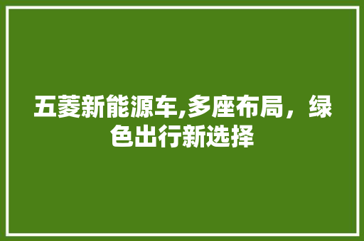 五菱新能源车,多座布局，绿色出行新选择