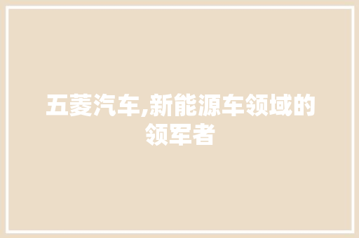 五菱汽车,新能源车领域的领军者