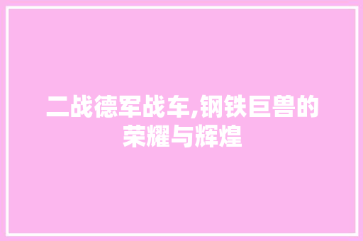 二战德军战车,钢铁巨兽的荣耀与辉煌