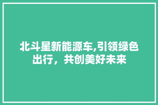 北斗星新能源车,引领绿色出行，共创美好未来